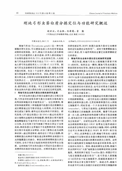 刚地弓形虫蛋白质分拣定位与功能研究概述