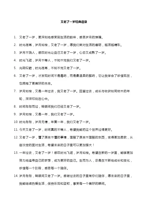 又老了一岁经典语录