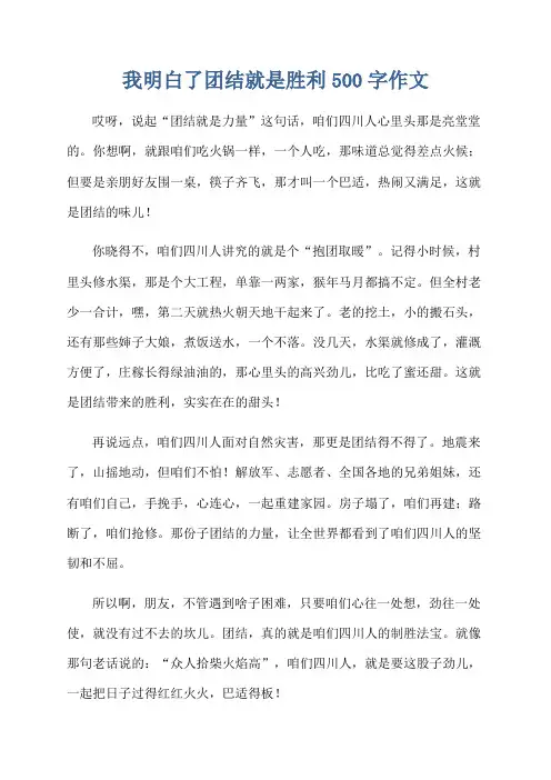 我明白了团结就是胜利500字作文