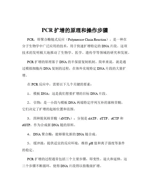 PCR扩增的原理和操作步骤