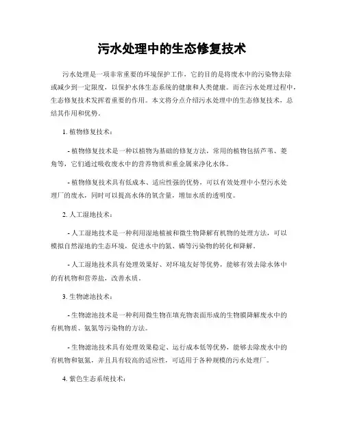 污水处理中的生态修复技术