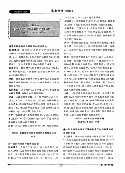 一例肉鸡大肠杆菌病的诊治