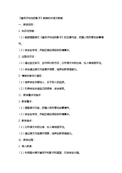 《盲孩子和他的影子》教案初中语文教案