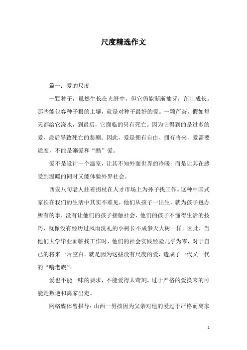 尺度精选作文