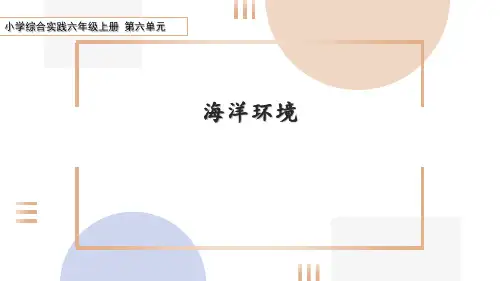 六年级上册蓝色家园《海洋环境》教学课件