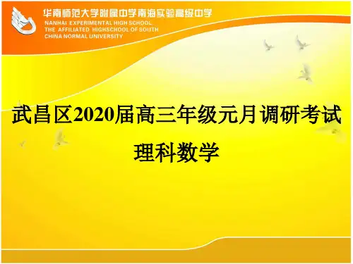 武昌区2020届高三元月调考  理科数学