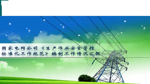 国家电网公司《生产作业安全管控标准化工作规范》