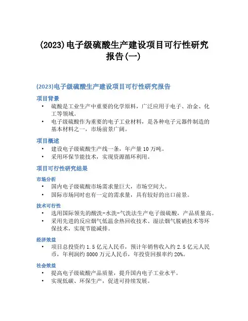 (2023)电子级硫酸生产建设项目可行性研究报告(一)
