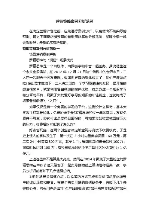 营销策略案例分析范例