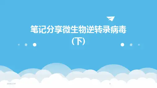 2024版笔记分享微生物逆转录病毒(下)