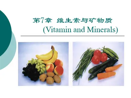 《维生素与矿物质》幻灯片PPT
