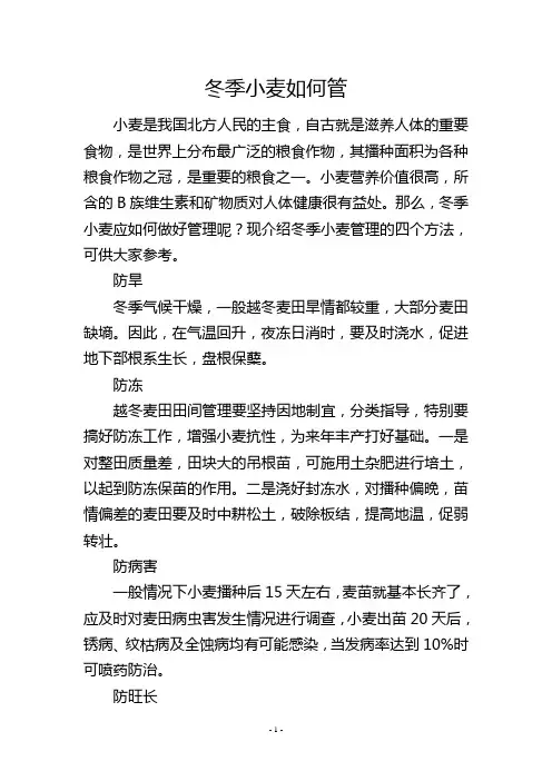 冬季小麦如何管