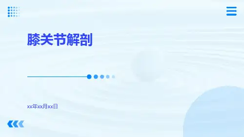 (医学课件)膝关节解剖