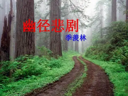 幽径悲剧公开课教学ppt