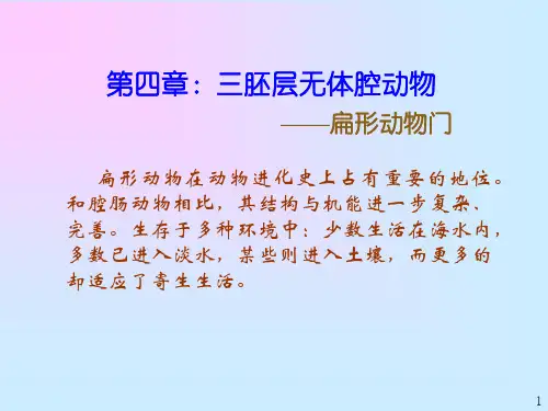 第四章扁形动物门PPT课件