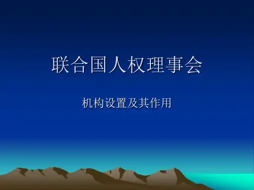 联合国人权理事会