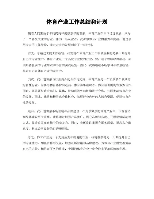 体育产业工作总结和计划