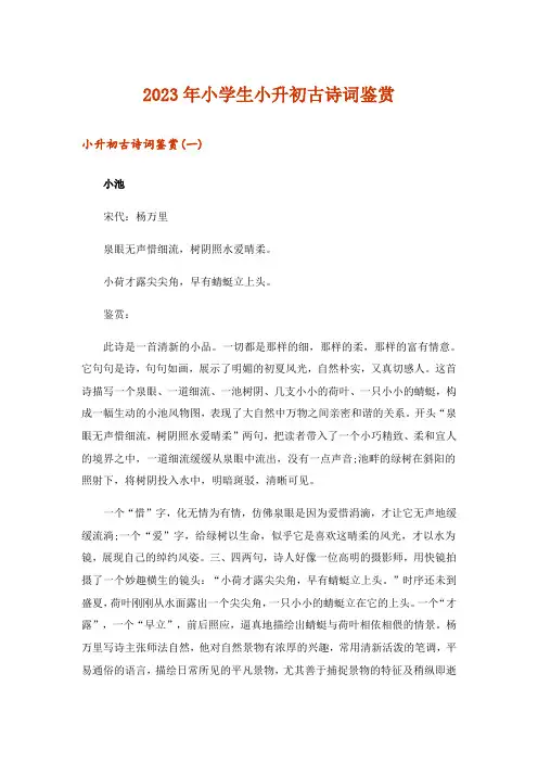 2023年文学_小学生小升初古诗词鉴赏