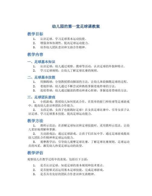 幼儿园的第一堂足球课教案