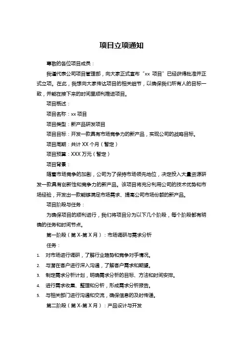 项目立项通知