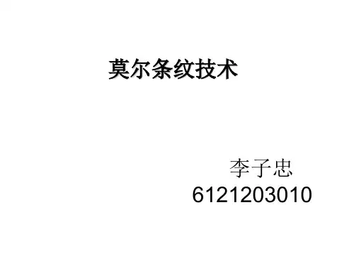 莫尔测试技术(李子忠,6121203010)