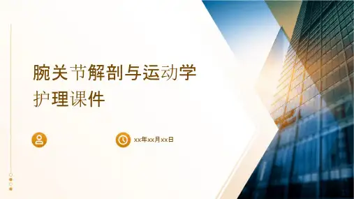 腕关节解剖与运动学护理课件