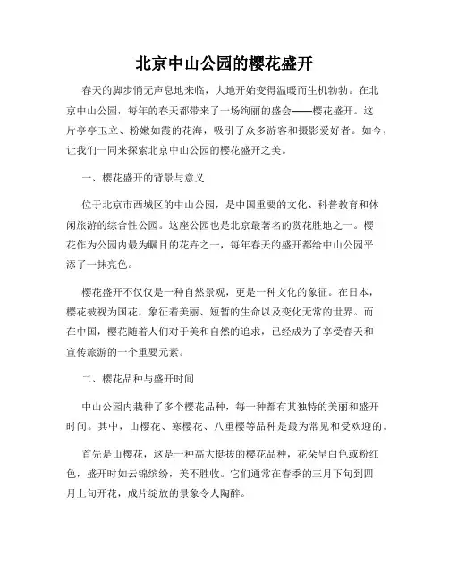 北京中山公园的樱花盛开