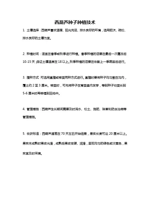 西葫芦种子种植技术