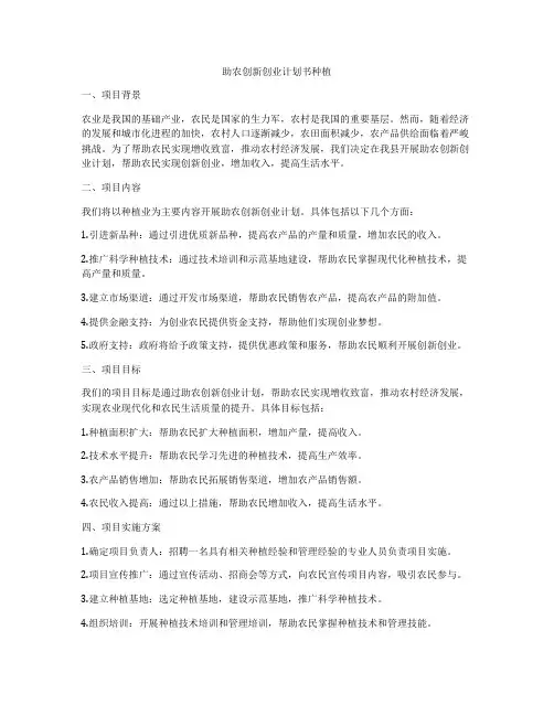助农创新创业计划书种植