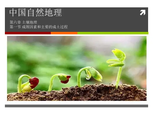 【课件】《中国自然地理》第六章土壤地理-成土因素-成土过程-土壤分布规律