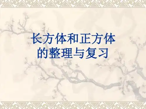 长方体和正方体整理与复习