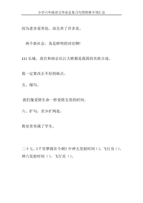 小学六年级语文毕业总复习句型转换专项汇总104