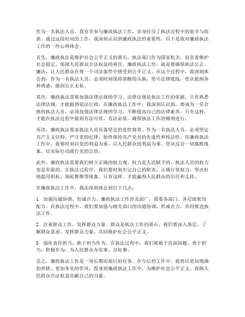 廉政执法工作心得体会