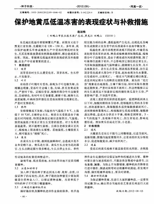 保护地黄瓜低温冻害的表现症状与补救措施