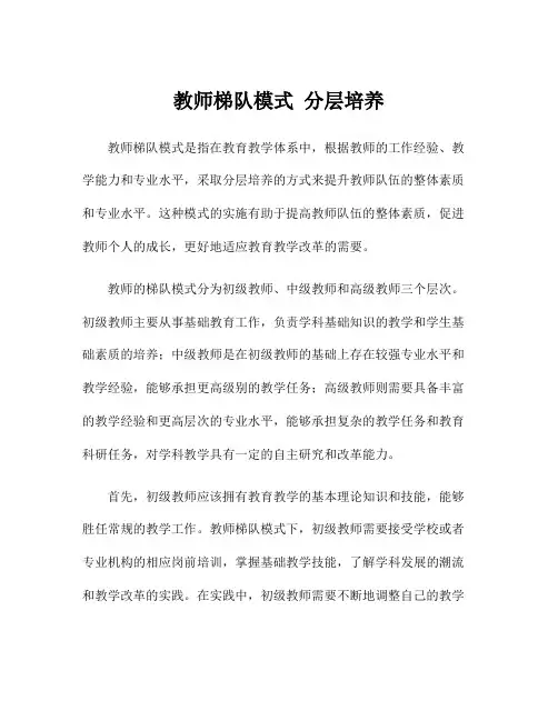 教师梯队模式 分层培养