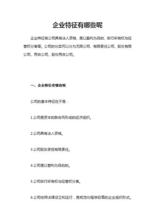 企业特征描述