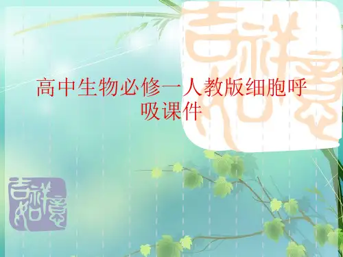 高中生物必修一人教版细胞呼吸 PPT课件 图文
