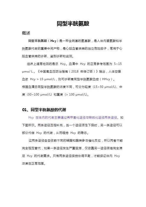 同型半胱氨酸