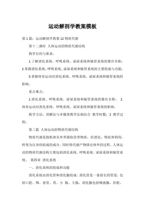 运动解剖学教案模板