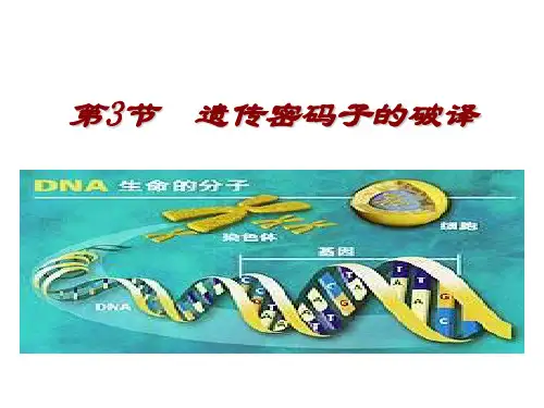 高一生物遗传密码的破译(中学课件201909)