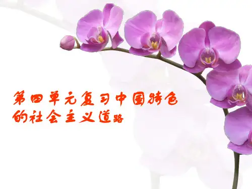 新人教版高中历史必修二第四单元复习提纲(四)