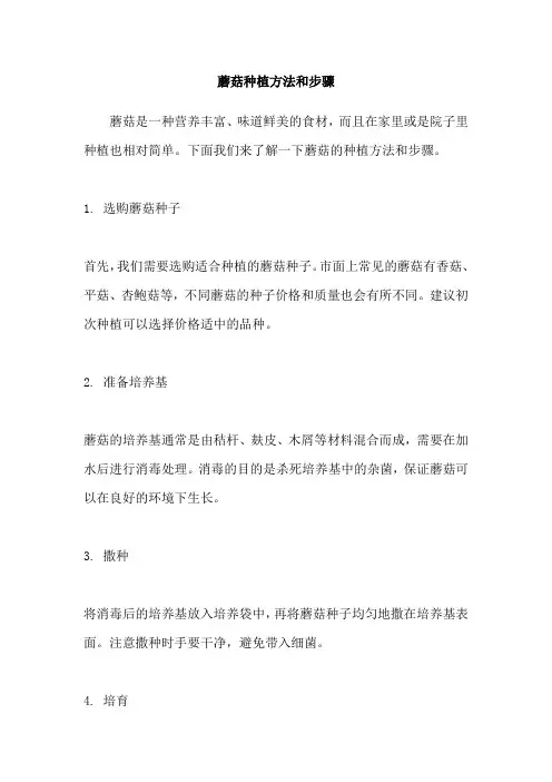 蘑菇种植方法和步骤