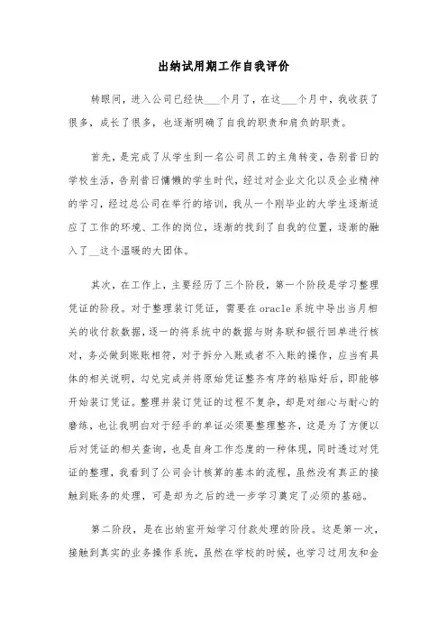 出纳试用期工作自我评价(六篇)