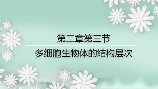 2.2.3  多细胞生物体的结构层次  课件(20张PPT)-2024学年济南版生物七年级上册
