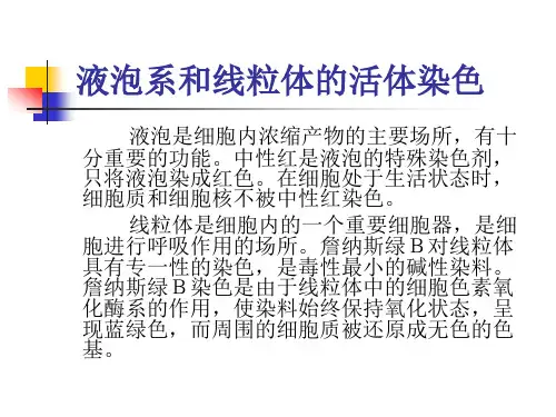 细胞实验课件液泡系和线粒体的活体染色