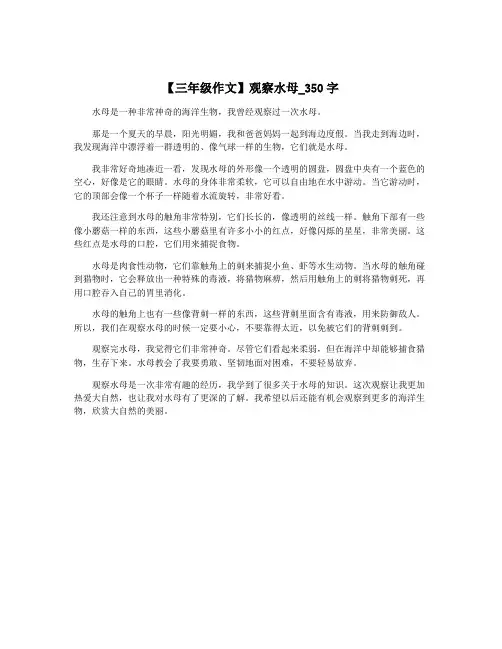 【三年级作文】观察水母_350字