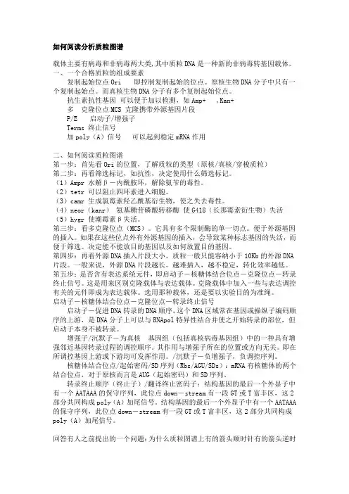 如何阅读分析质粒图谱