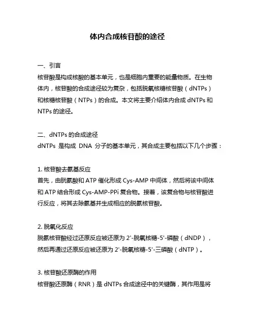 体内合成核苷酸的途径