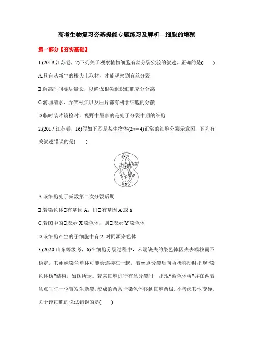 高考生物复习夯基提能专题练习及解析—细胞的增殖