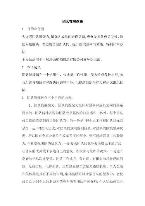 团队管理办法
